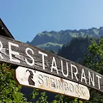 Inn Steinbock