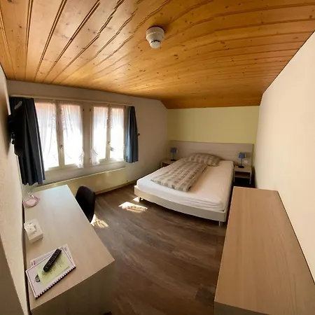 Steinbock Lauterbrunnen