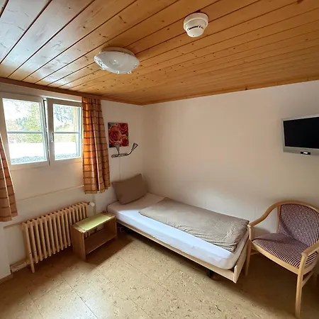 Steinbock 2*