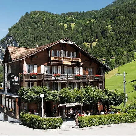 Steinbock 2* Lauterbrunnen