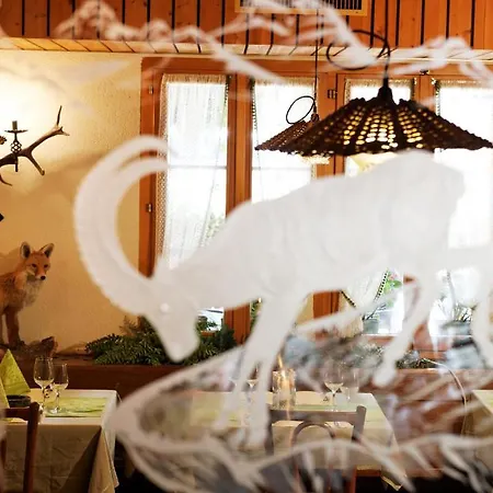 Steinbock Lauterbrunnen