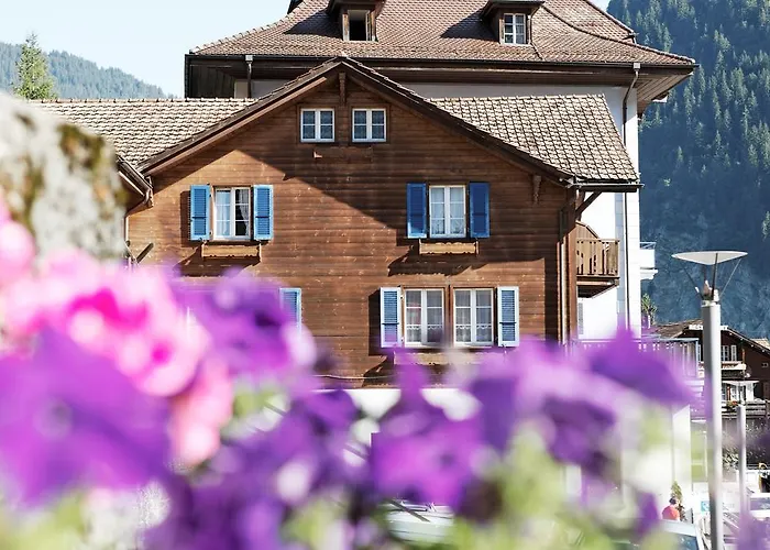 Steinbock Kro Lauterbrunnen