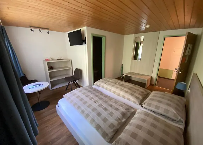 Steinbock Lauterbrunnen