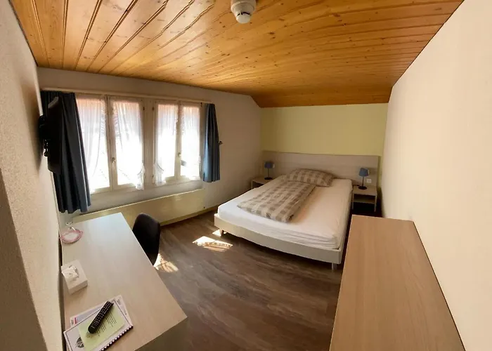 Steinbock Lauterbrunnen