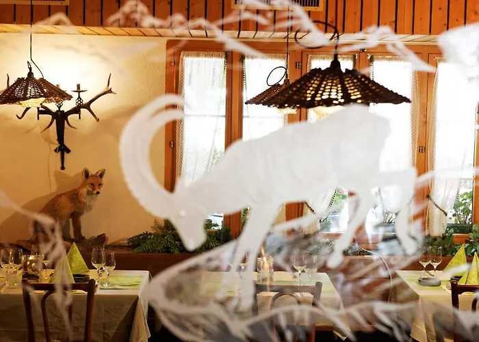 Steinbock Lauterbrunnen