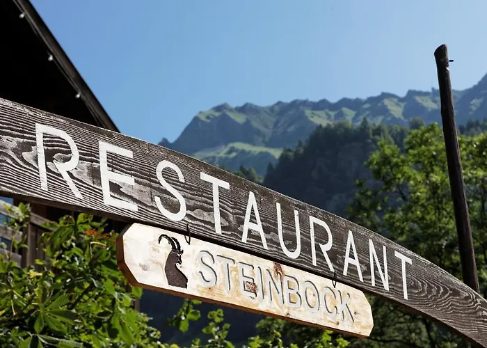 Han/Misafirhane Steinbock