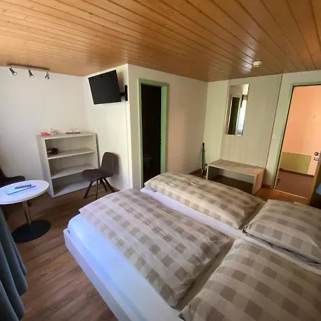 Steinbock Lauterbrunnen