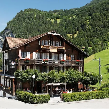 Steinbock 2* Lauterbrunnen