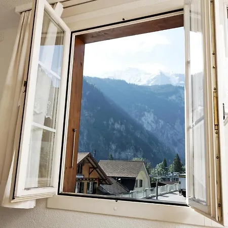 Steinbock Lauterbrunnen
