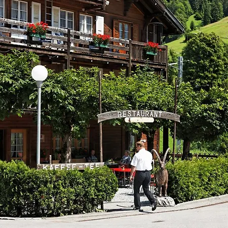 Steinbock 2* Lauterbrunnen
