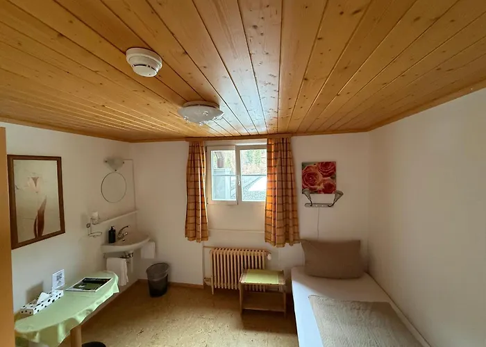 Steinbock Lauterbrunnen