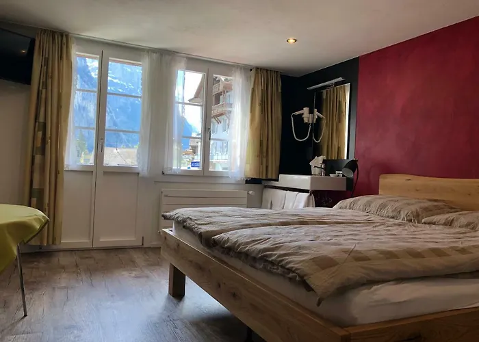 Steinbock Lauterbrunnen