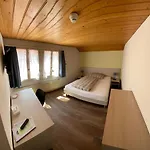Steinbock Lauterbrunnen