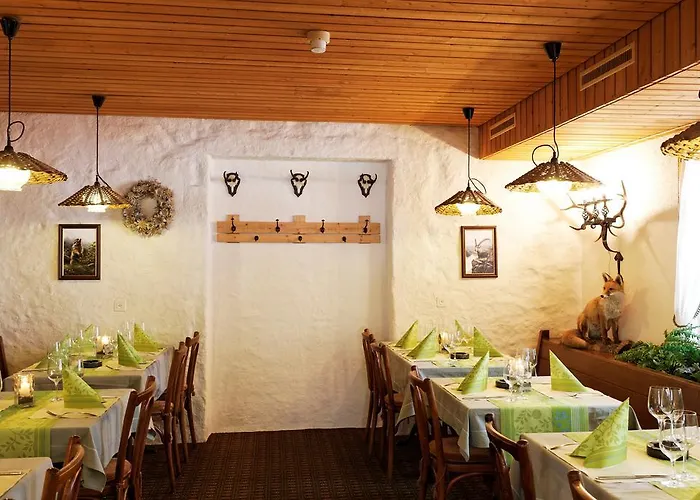 Steinbock Mini-hôtel